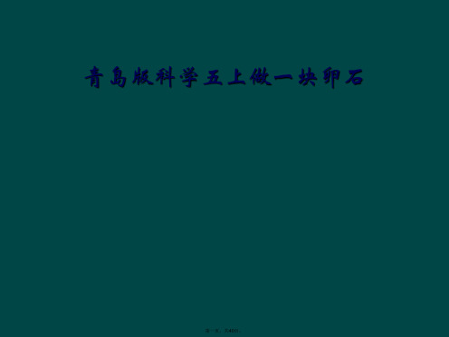 青岛版科学五上做一块卵石