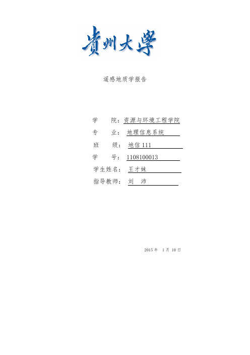 遥感地质学报告