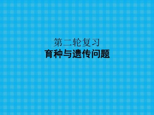 第二轮复习育种与遗传问题