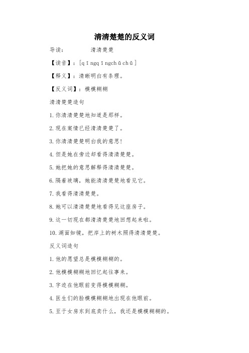 清清楚楚的反义词