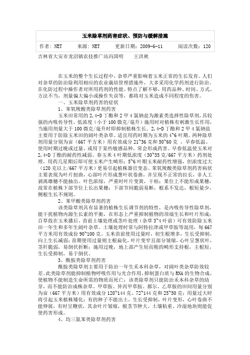 玉米药害识别