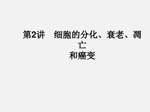 高考生物 二轮复习 专题3 细胞的生命历程 2 细胞的分化、衰老、凋亡和癌变