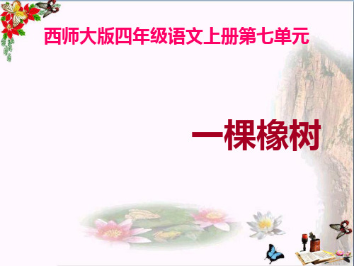 (精选)四年级语文上册 第七单元 一棵橡树课件4 西师大版