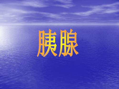 胰腺CT、MRI诊断