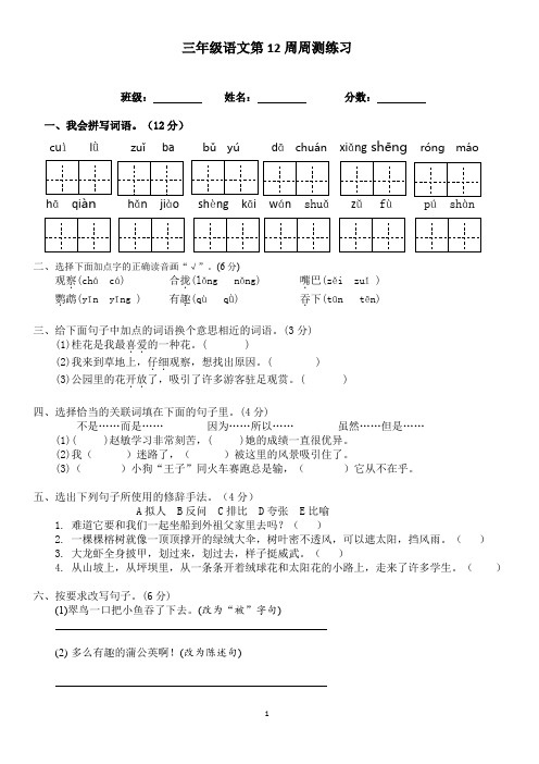 三年级上册语文周测练习12