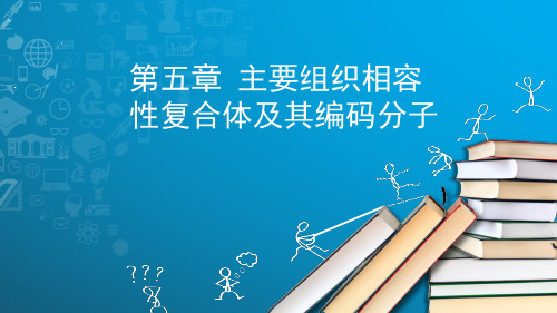 五主要组织相容性复合体及其编码分子