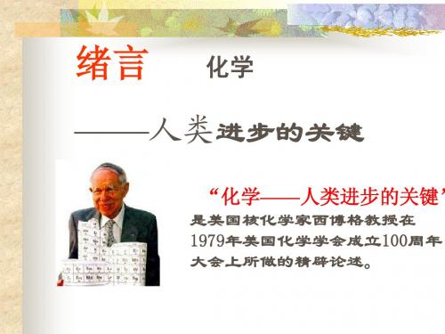 人教版高一化学绪言课