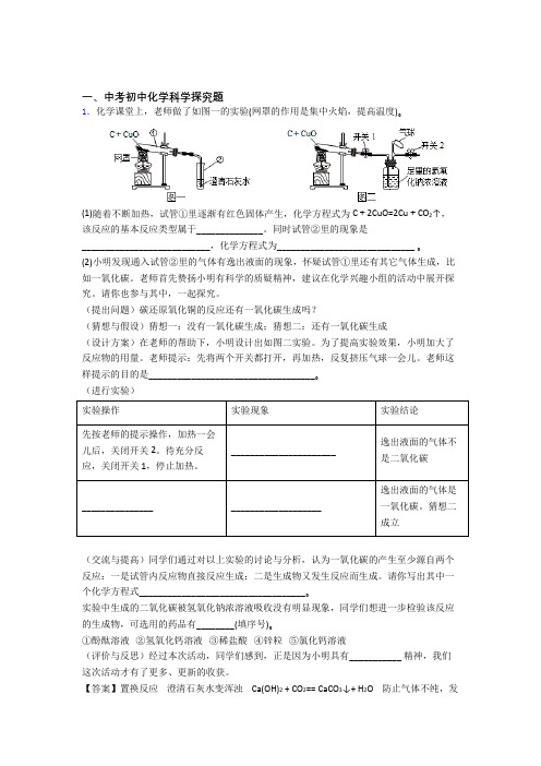 2020-2021中考化学专题训练---探究题的综合题分类含答案