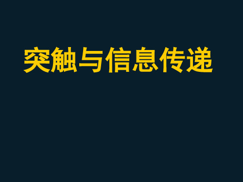 突触