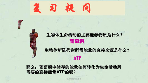 细胞呼吸市优质课课件