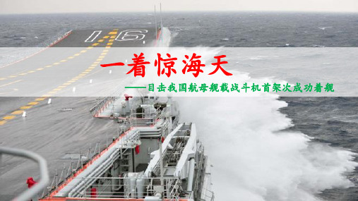 编版八年级上册第一单元一着惊海天教学课件(25张)