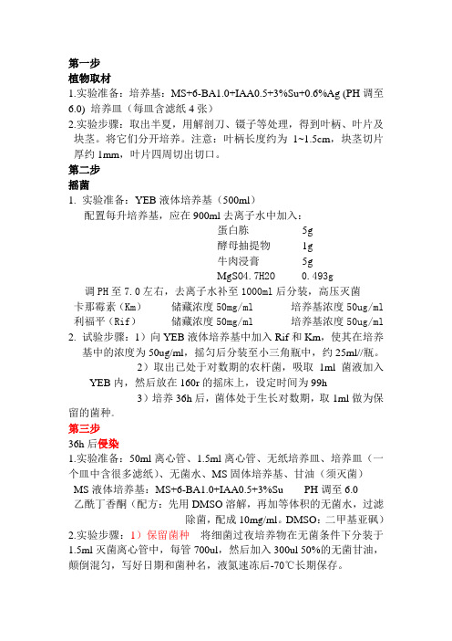 转基因遗传体系建立的步骤