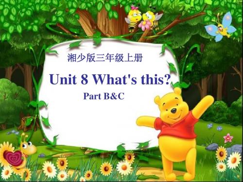 三年级上册英语课件-Unit 8 What's this湘少版
