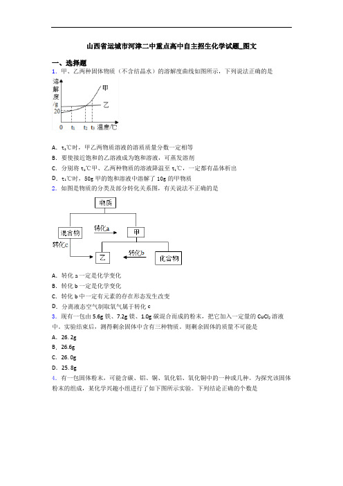 山西省运城市河津二中重点高中自主招生化学试题_图文