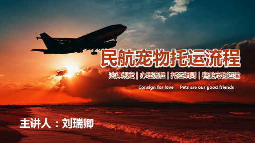 民航宠物托运
