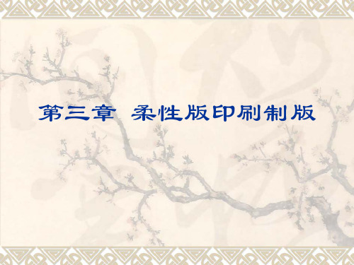 第三章 柔性版印刷制版1