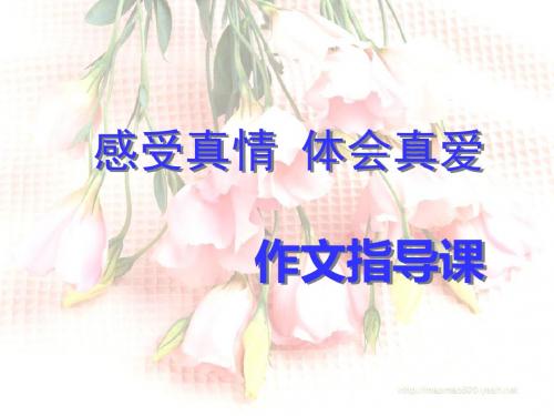 “感受真情,体会真爱”初中作文指导课PPT (共23张PPT)