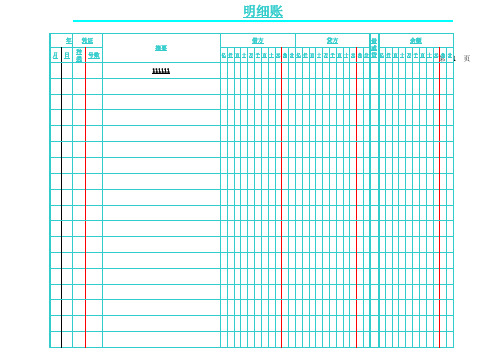 明细账页电子版