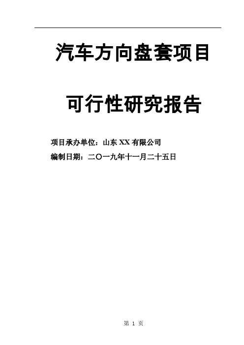 汽车方向盘套可行性研究报告精品文档28页