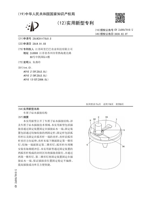 【CN210017043U】车厘子砧木插接结构【专利】