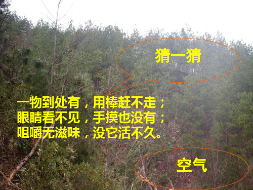 课题1空气(1)