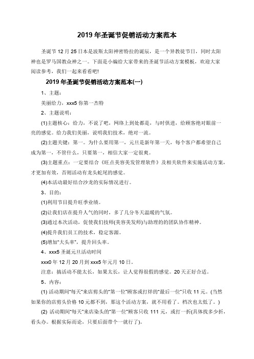 2019年圣诞节促销活动方案范本