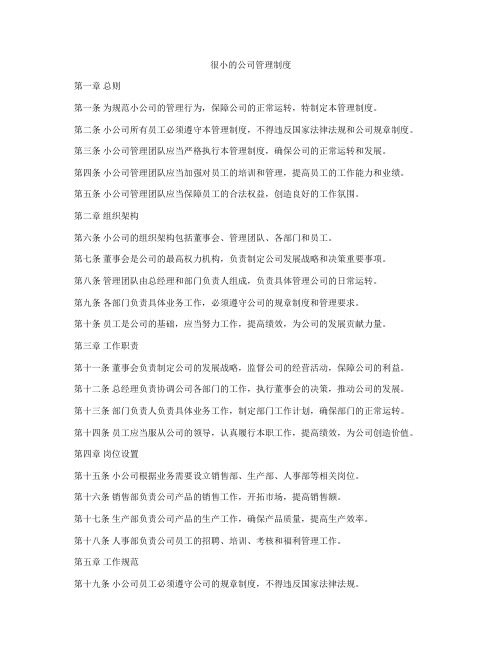 很小的公司管理制度