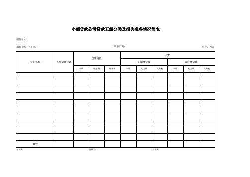 小额贷款财务报表之五级分类情况简表
