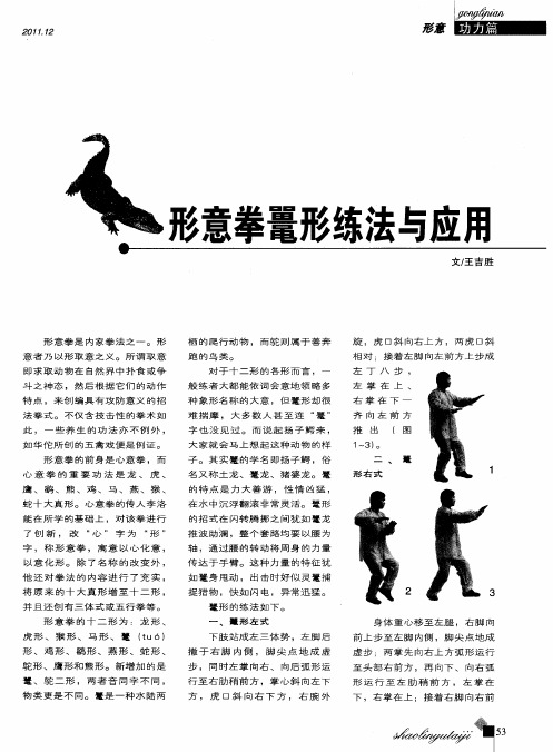 形意拳鼍形练法与应用