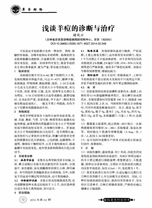 浅谈羊痘的诊断与治疗