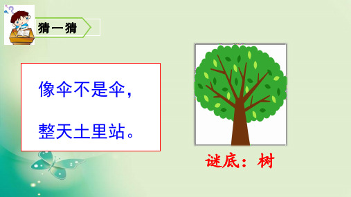 二年级上册语文课件-第二单元 识字2 树之歌 ｜人教(部编版) (共29张PPT) 课件 