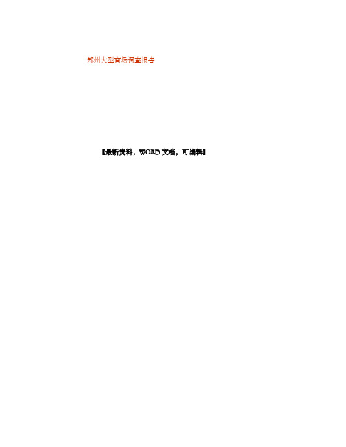 郑州大型商场调查报告