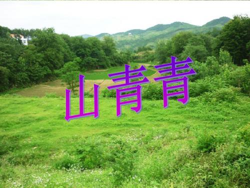《山青青》课件1-优质公开课-语文S版一下精品