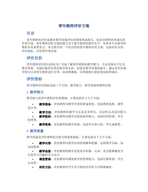 青年教师评价方案