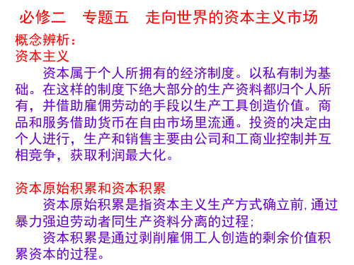 高中历史必修二《专题五走向世界的资本主义市场一开辟文明交往的航线》88人民版PPT课件