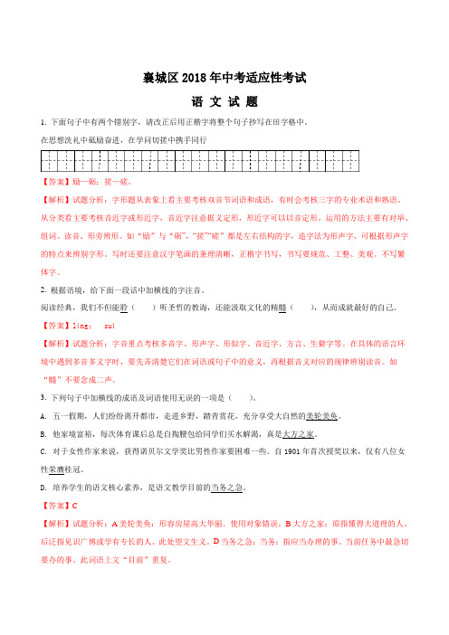 【全国区级联考】湖北省襄阳市襄城区2018届九年级适应性考试语文试题(解析版)