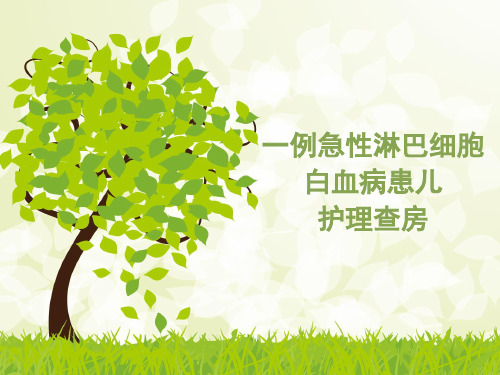 一例急性淋巴细胞白血病患儿护理查房(含疾病介绍、个案介绍、护理问题、护理措施、问题讨论)