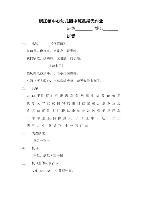 中班星期天作业