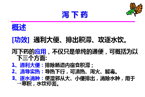 泻下药 中药药理学教学课件
