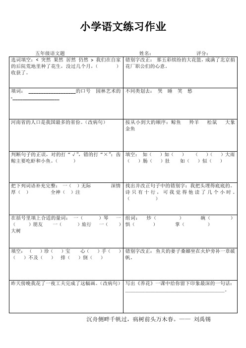 五年级语文课堂拓展精选练习II (115)