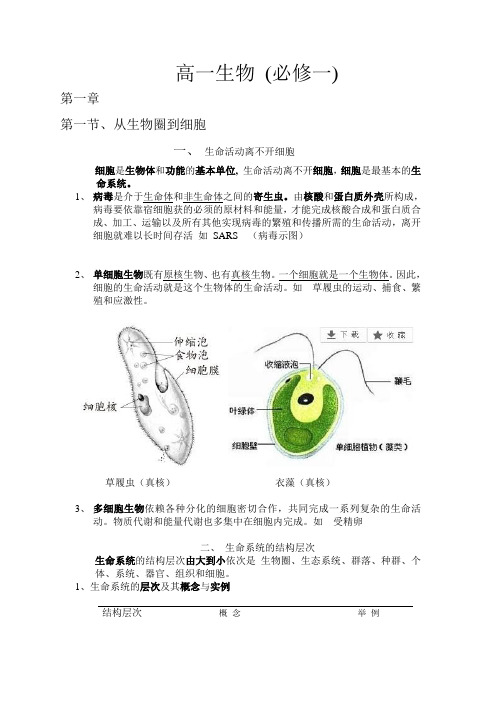 高一生物(必修一)第一章