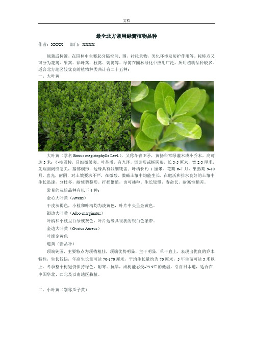 全面北方常用绿篱植物品种
