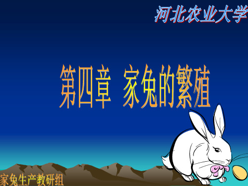 第四章  家兔的繁殖