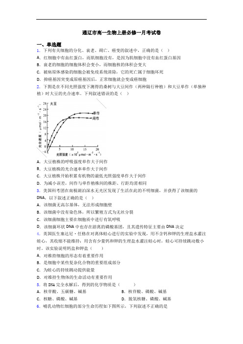 通辽市高一生物上册必修一月考试卷