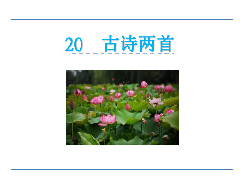 四年级下册语文课件20 古诗两首(共19张PPT)_苏教版