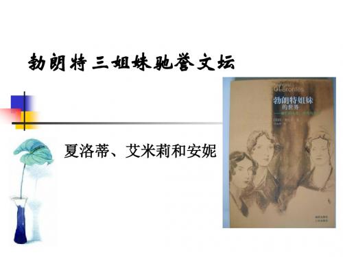 【精品】《简·爱》与《呼啸山庄》(讲稿)