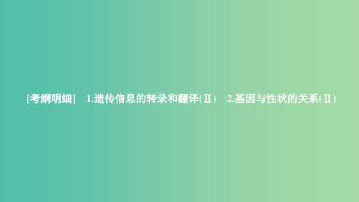 2020年高考生物一轮复习 第6单元 遗传的物质基础 第20讲 基因的表达课件(必修2)