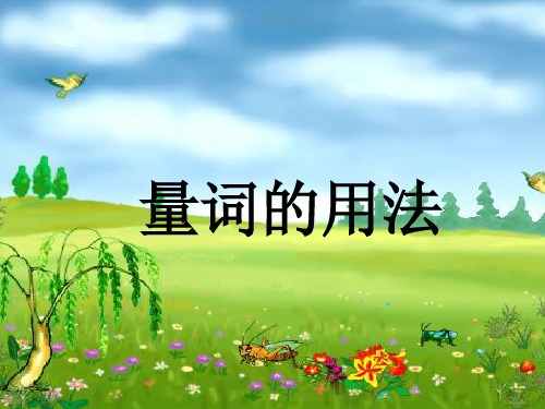 量词PPT课件