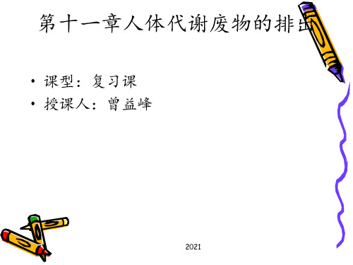 第十一章人体代谢废物的排出总复习PPT课件