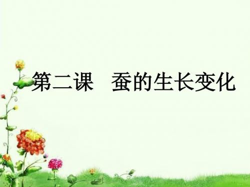 2 蚕的生长变化ppt课件